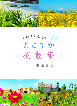 book5
